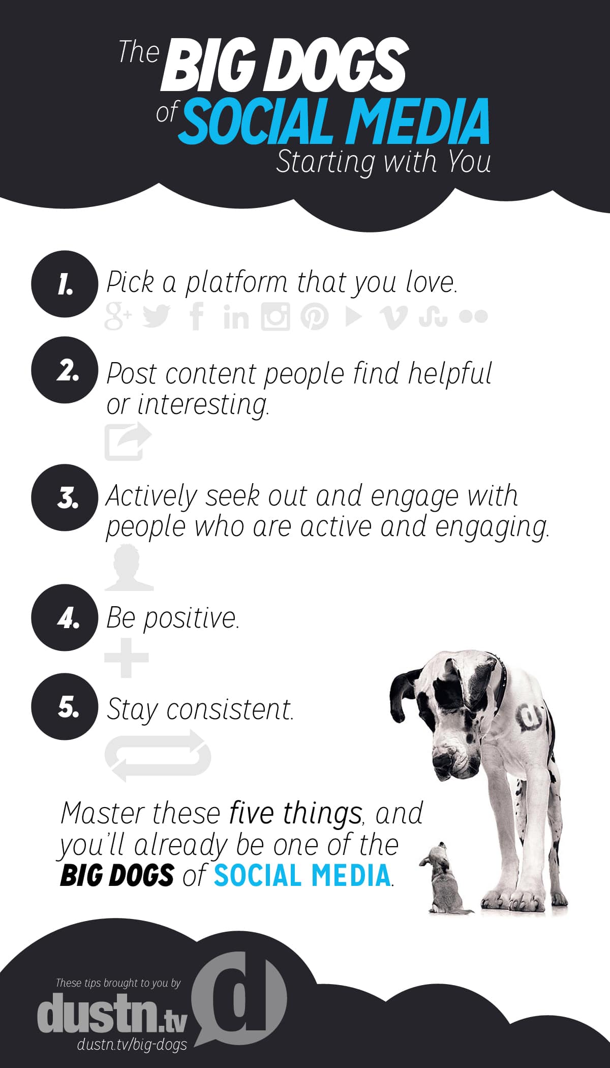 big dogs of social media tips infographic